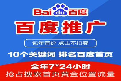 百度推广的ROI优化：成功企业案例解析